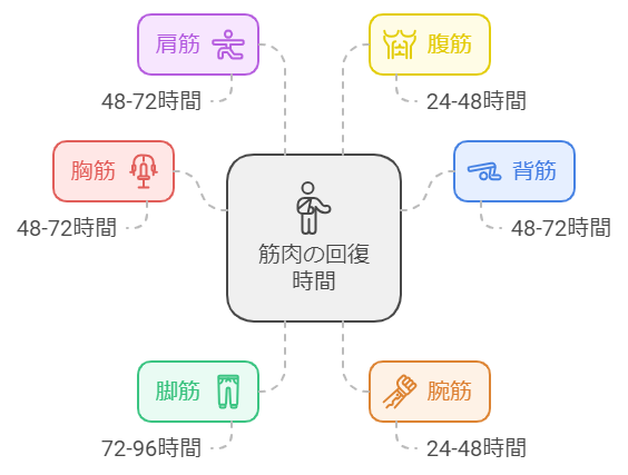 超回復についての図解