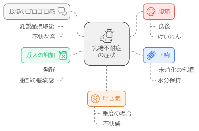 乳糖不耐症の主な症状の図解