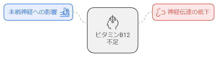 神経障害についての図解