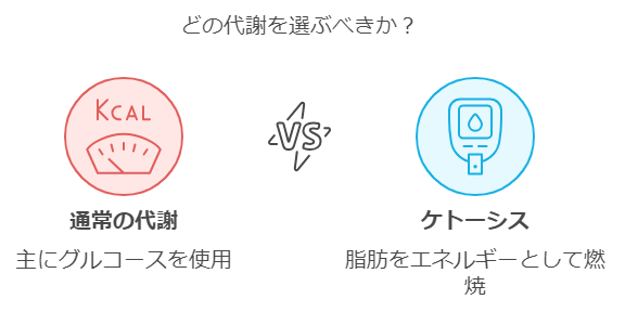 ケトジェニックダイエットの仕組みの図解