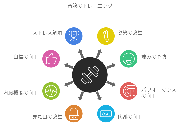 背筋を鍛えることによるメリットを伝える図