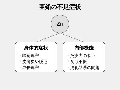 亜鉛の不足症状の図解