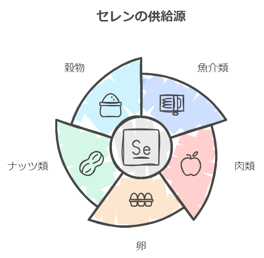 セレンの供給源