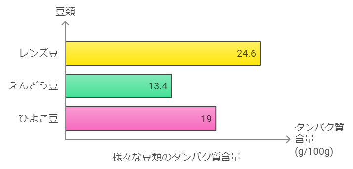 豆類のタンパク質量