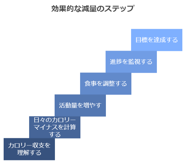 カロリー収支の理解の図解